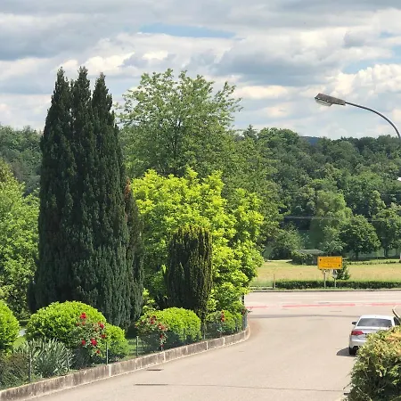 Rheinfelden アパート *